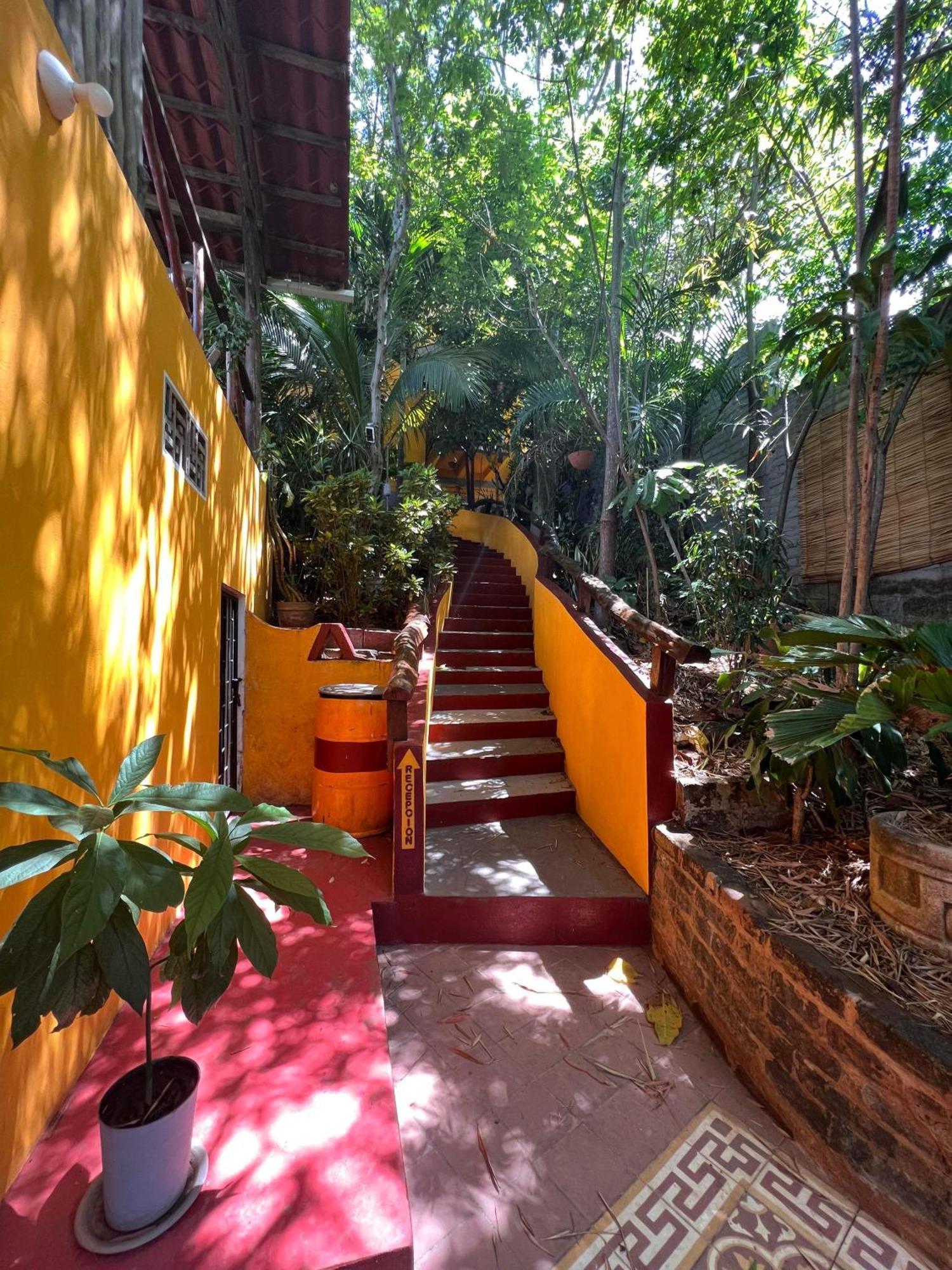 Готель Buena Onda Backpackers Сан-Хуан-дель-Сур Екстер'єр фото